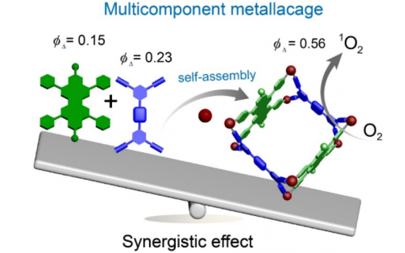 西安交大科研人員構(gòu)建多組分金屬籠用于可見(jiàn)光催化反應(yīng)
