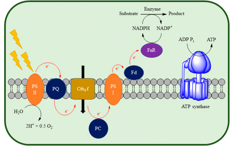 連續(xù)流微通道反應器維護及保養(yǎng)注意事項