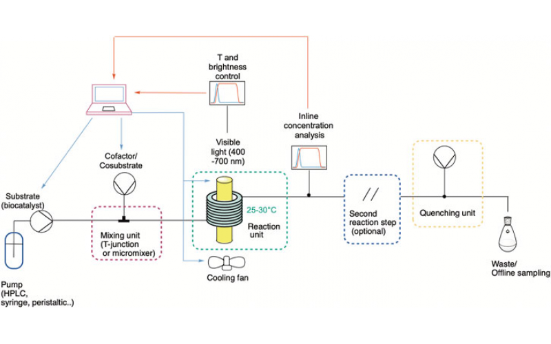 連續(xù)流動中的光生物催化