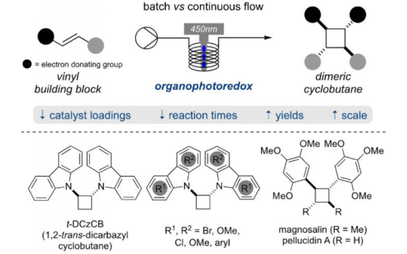 使用有機光氧化還原催化的 [2+2]-環(huán)加成在連續(xù)流動條件下形成二聚環(huán)丁烷